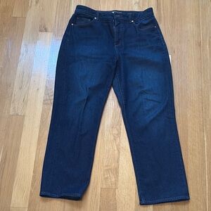 Dark Blue Ann Taylor Loft Denim Jeans